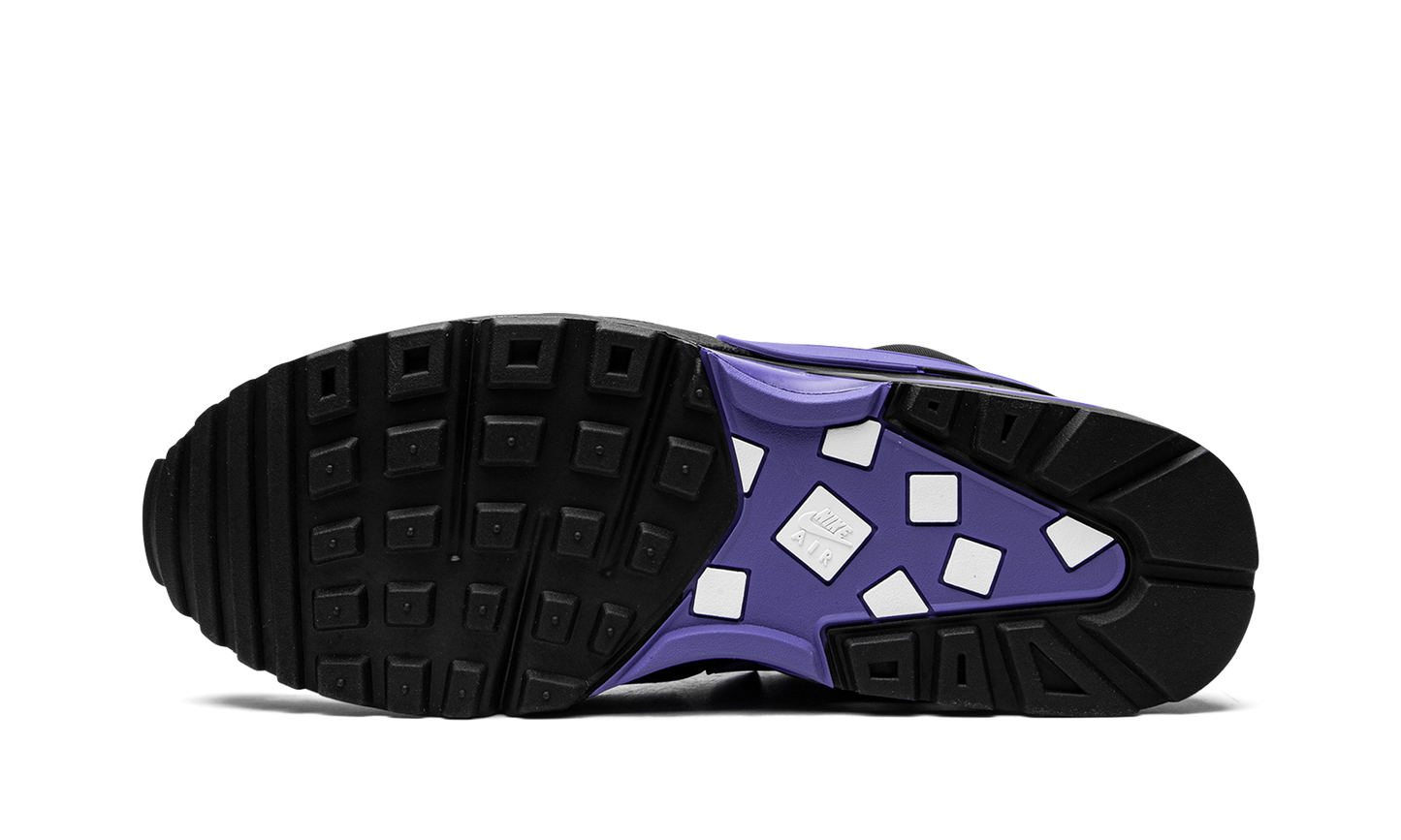 Nike Air Max BW OG "Black Persian Violet" DM3047 001