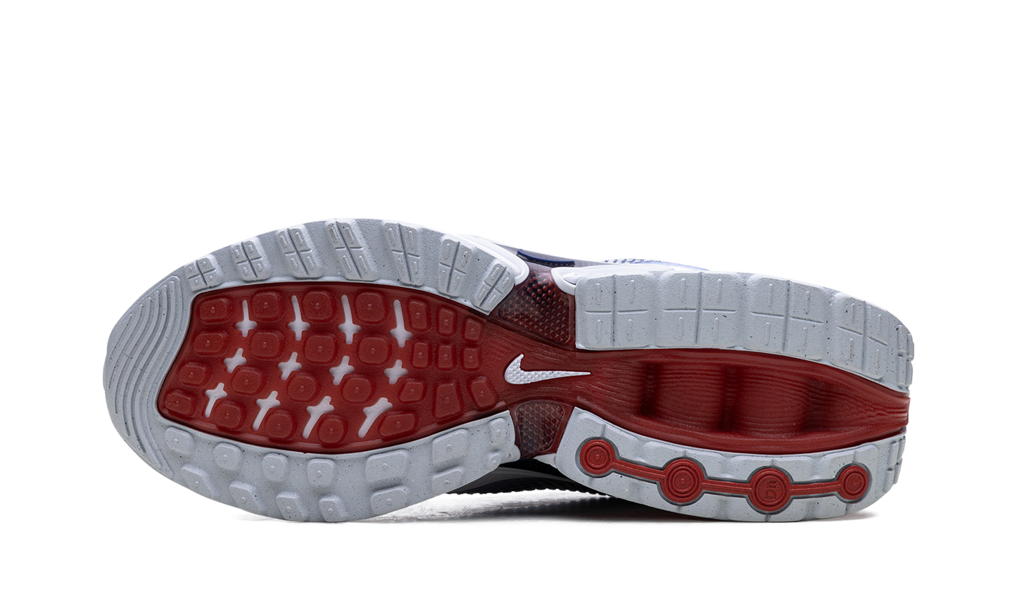 Nike Air Max Dn "Team USA" FV2250 100