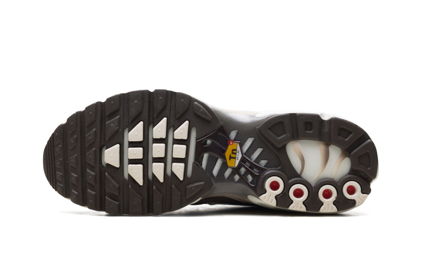Nike Air Max Plus "Mink Brown" DZ3671 200