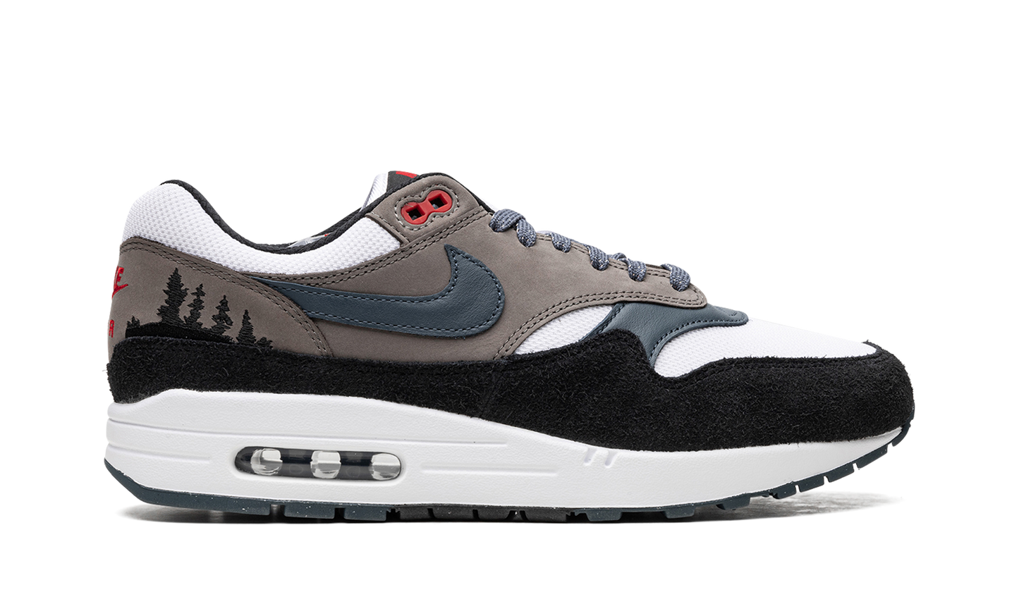 Nike Air Max 1 "Slate Blue" FJ0698 100
