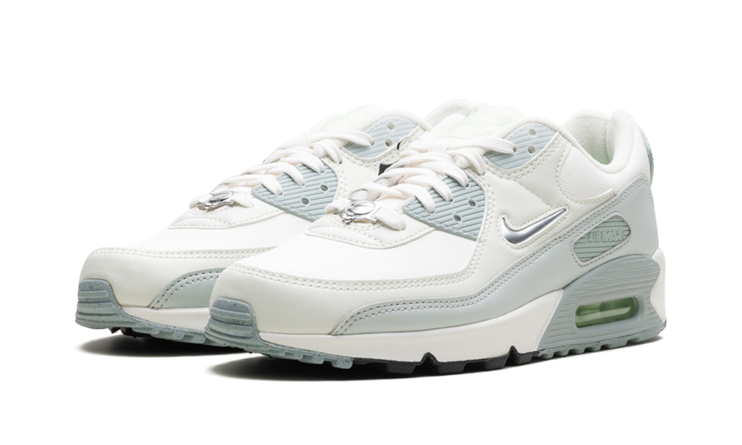 Nike Air Max 90 WMNS "Silver" FN6948-100
