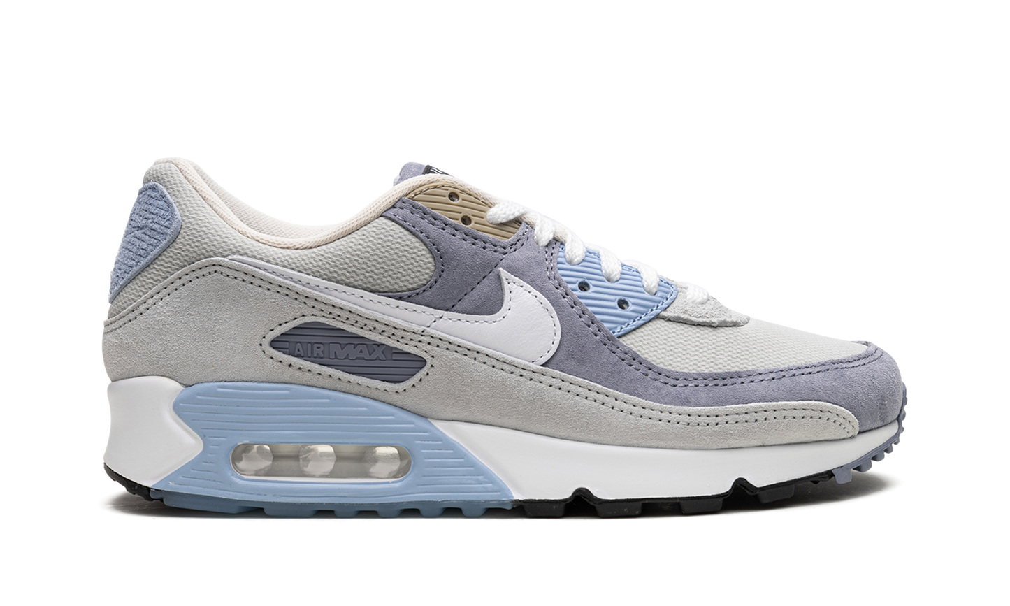 Nike Air Max 90 "Ashen Slate" DM0035 400