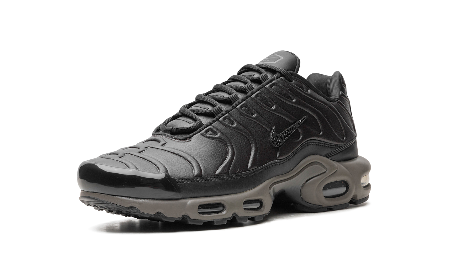 Nike Air Max Plus "Black Tea / Petra Brown" "Black Tea / Petra Brown" HJ4519 200