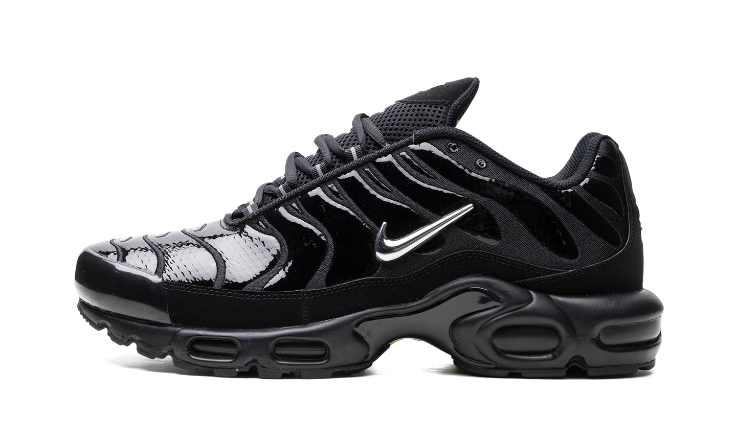 Nike Air Max Plus "Metallic Black" FJ2591 001