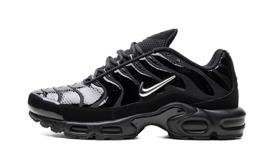 Nike Air Max Plus "Metallic Black" FJ2591 001