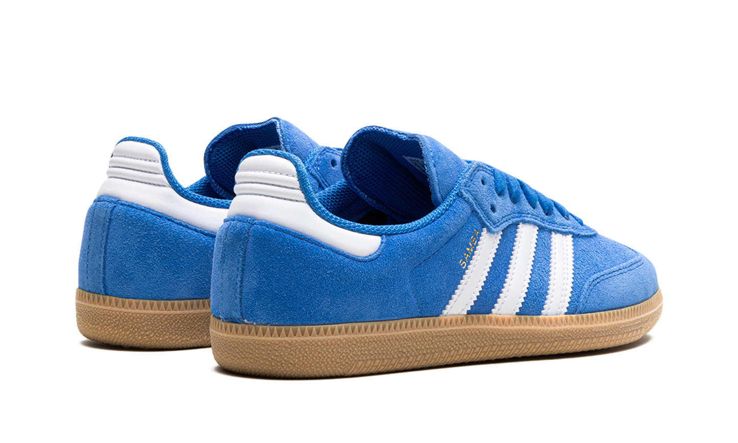 Adidas Samba Adv "Blue Bird" JP5719