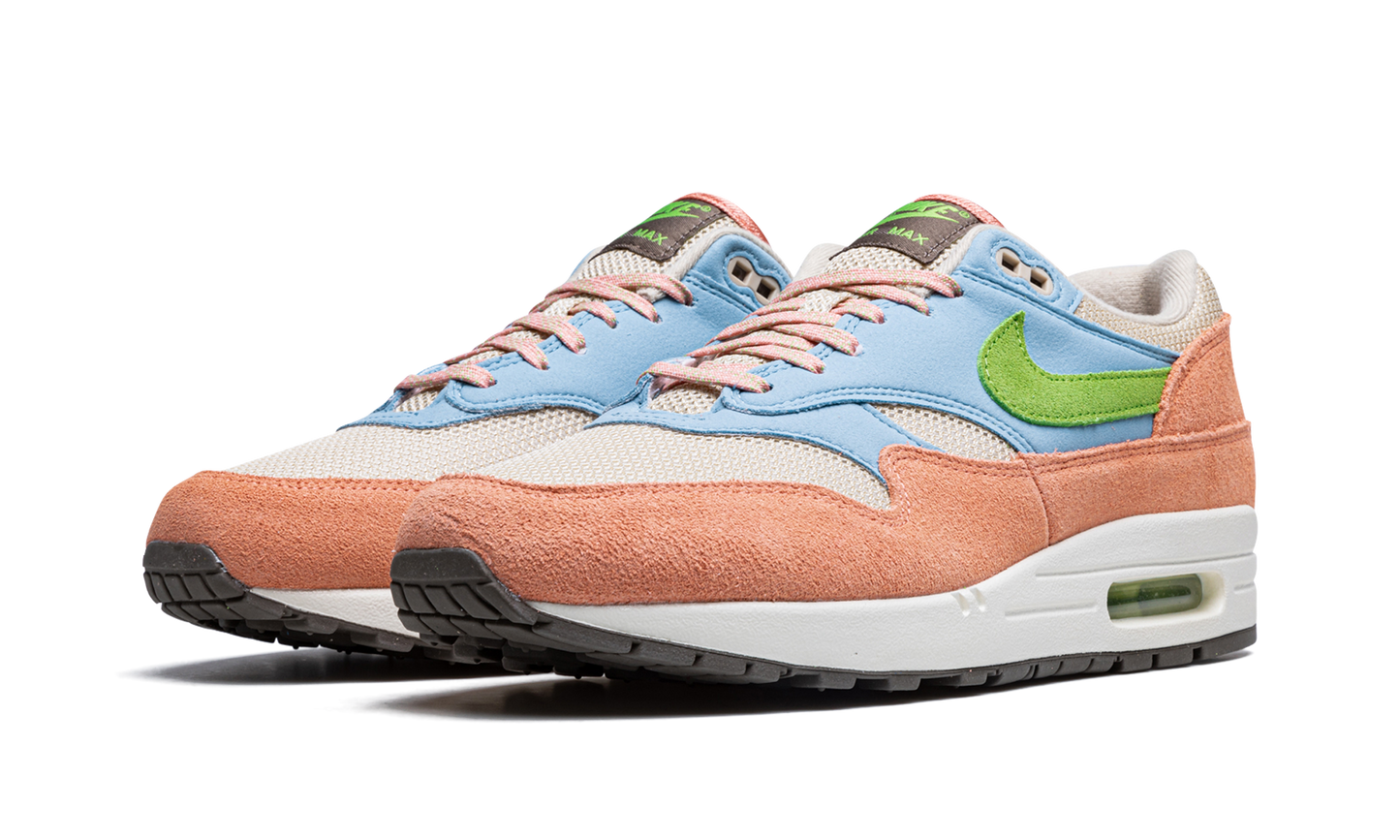 Nike Air Max 1 "Light Madder Root" DV3196 800