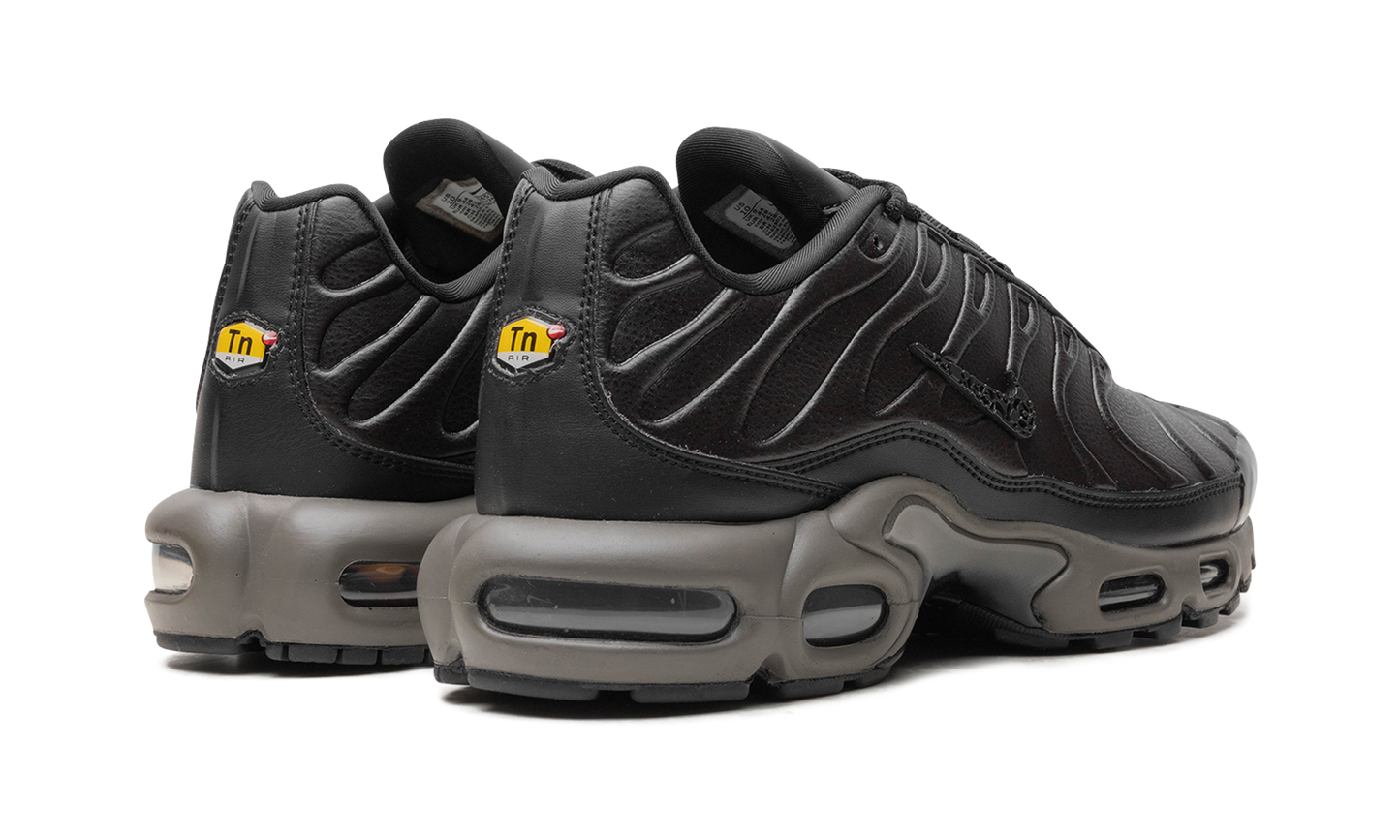 Nike Air Max Plus "Black Tea / Petra Brown" "Black Tea / Petra Brown" HJ4519 200