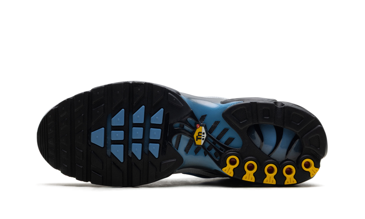 Nike Air Max Plus "Grey University Blue Black" DM0032 015