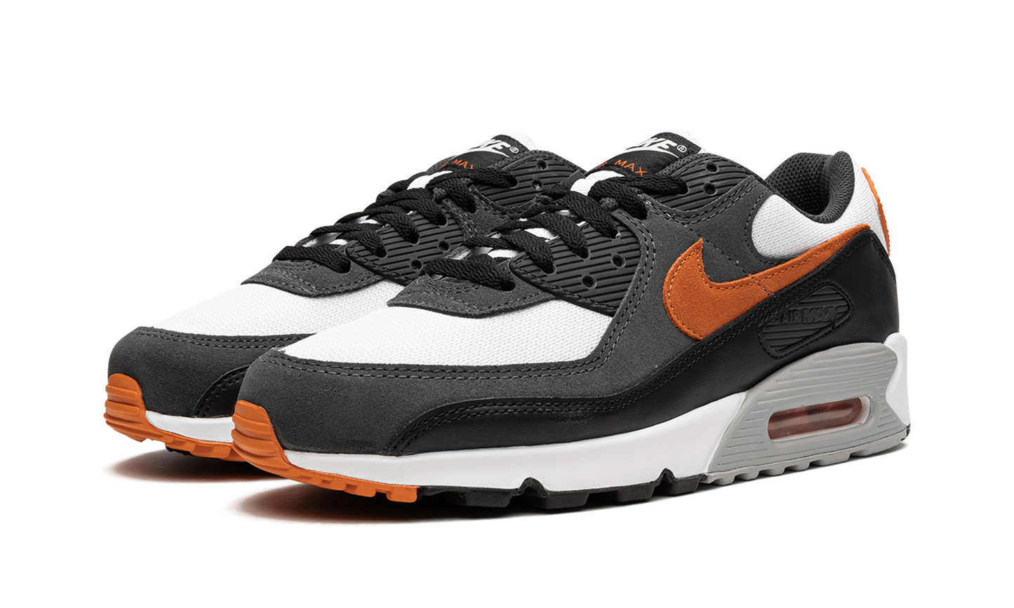 Nike Air Max 90 "Starfish" DM0029 101