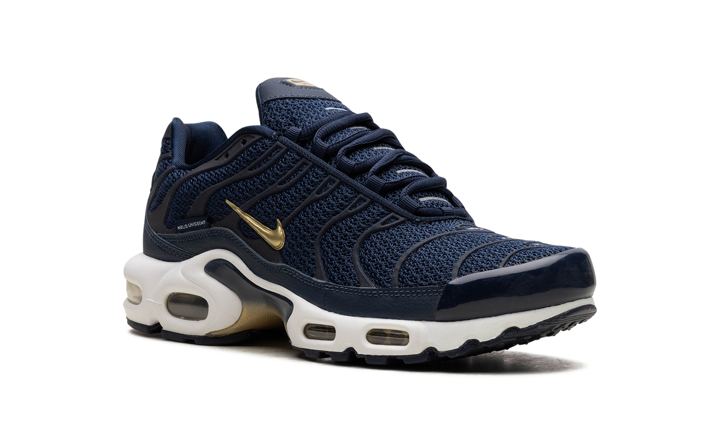 Nike Air Max Plus "FFF" fb3350 400