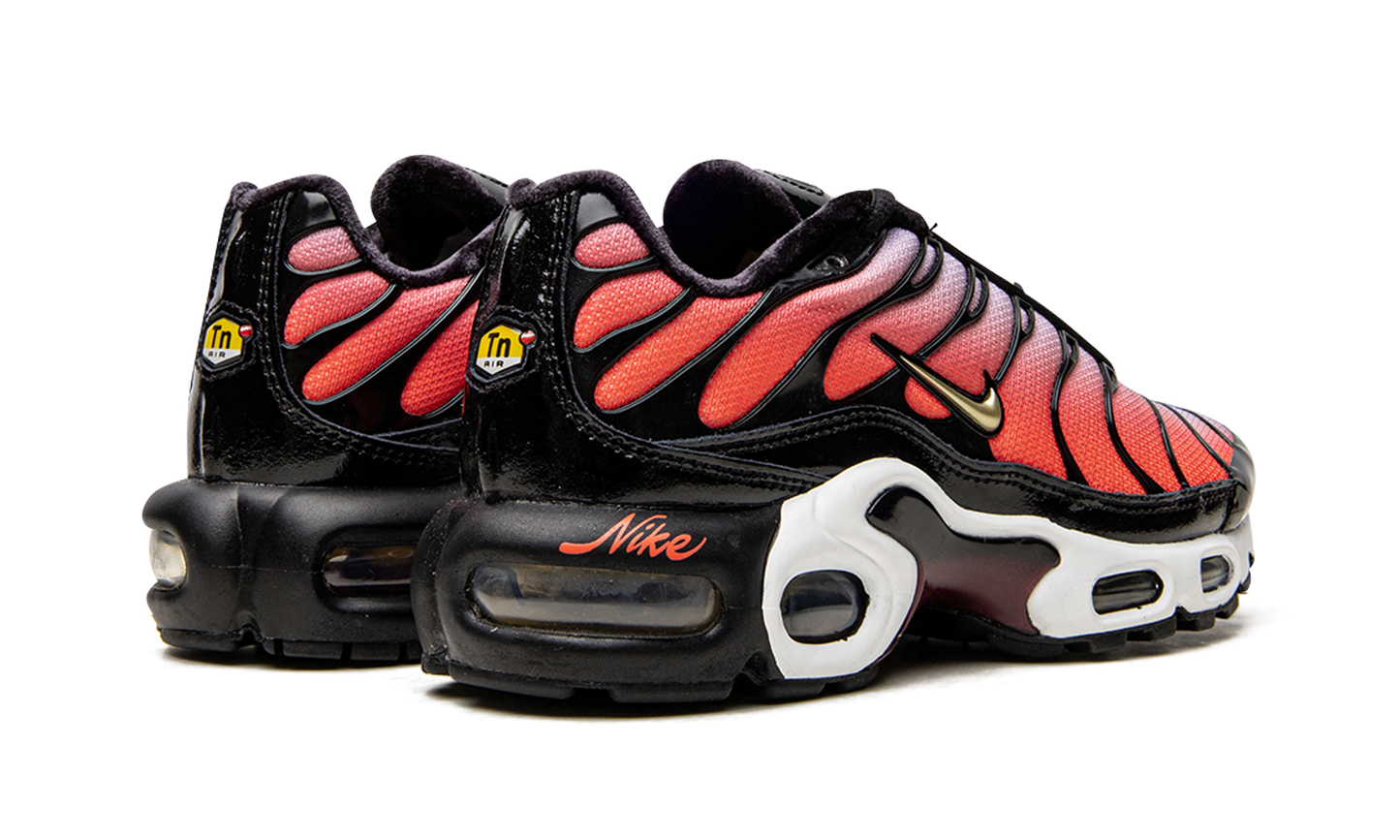 Nike AIR MAX PLUS MNS WMNS "Sisterhood" DO6115 500