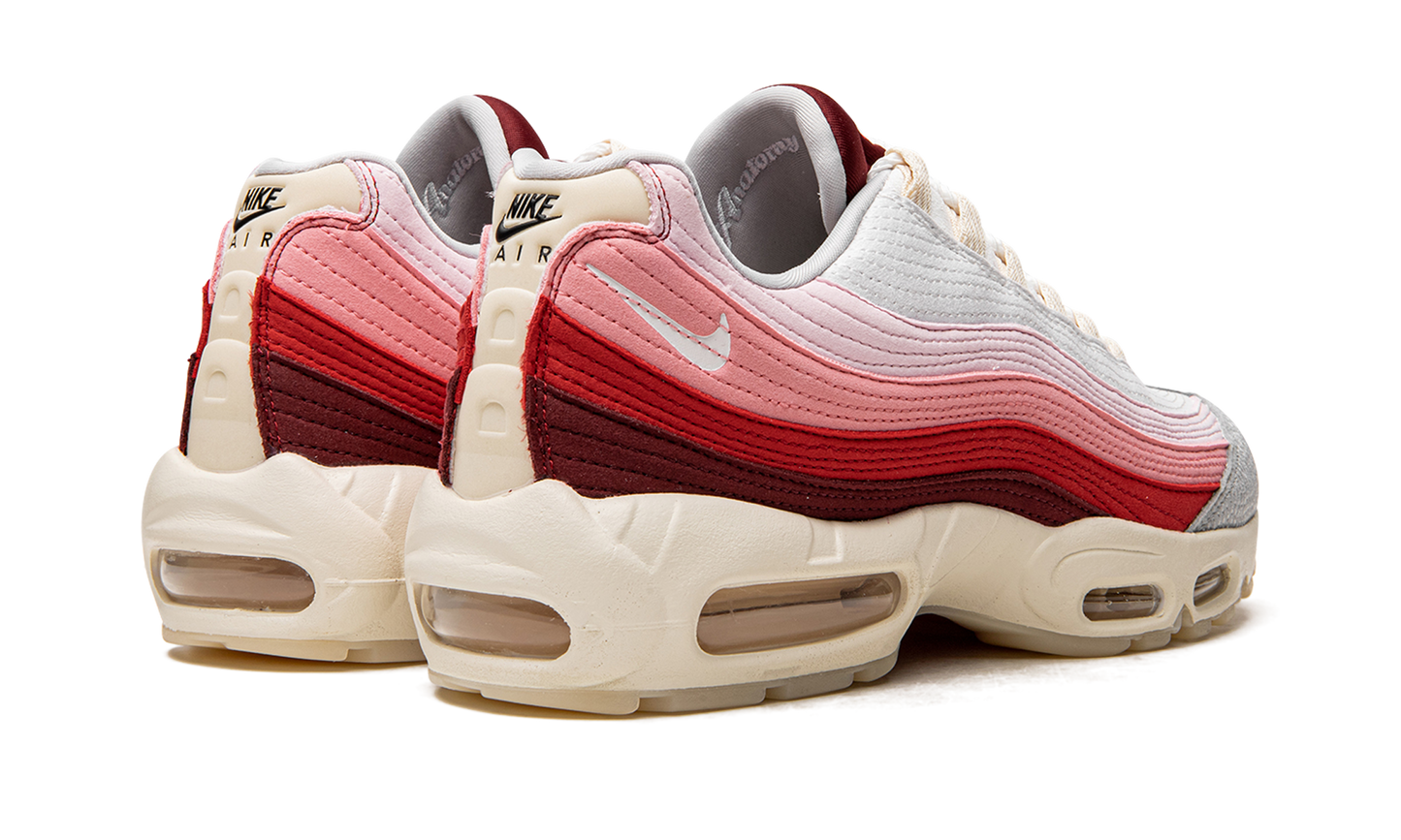 Nike Air Max 95 QS "Anatomy of Air" DM0012 600