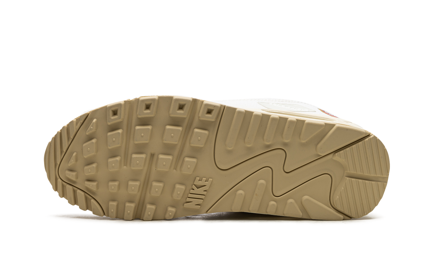 Nike AIR MAX 90 MNS WMNS "The Future is Equal" FD0867 133