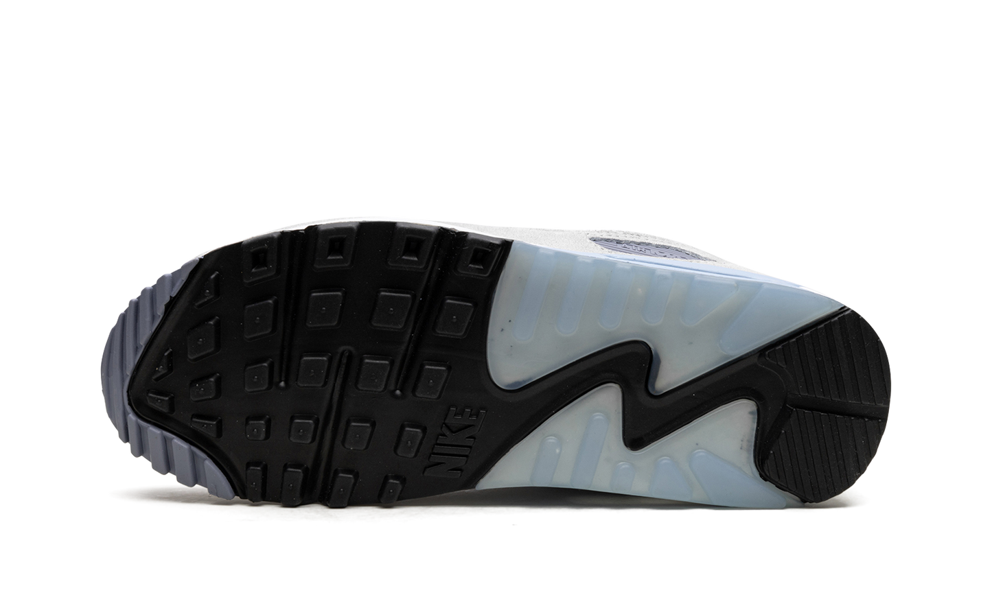 Nike Air Max 90 "Ashen Slate" DM0035 400