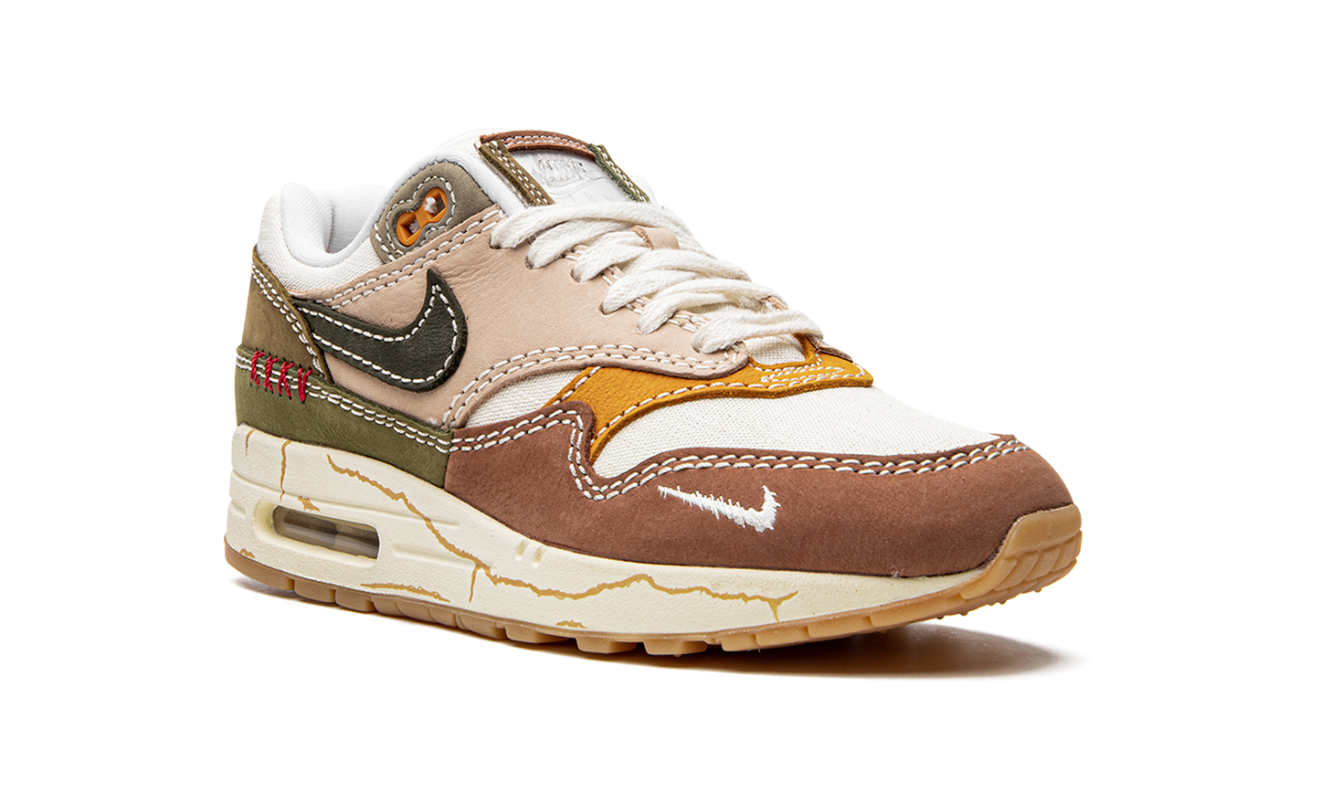 Nike Air Max 1 Premium "Wabi-sabi" DQ8656 133