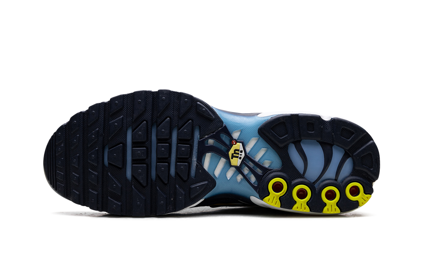 Nike Air Max Plus CT1094 100