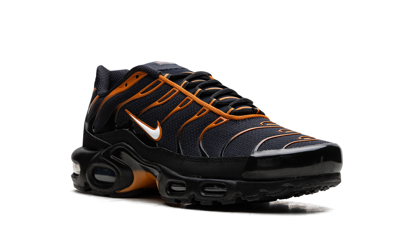Nike Air Max Plus "OBSIDIAN MONARCH" FN6949 400