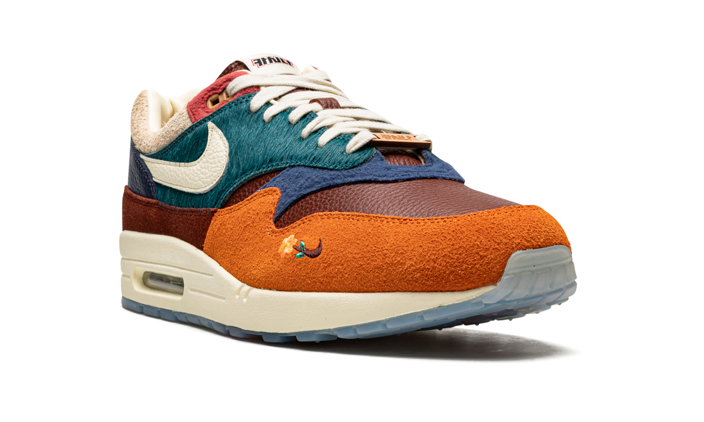 Nike Air Max 1 "Kasina - Won-Ang Orange" DQ8475 800