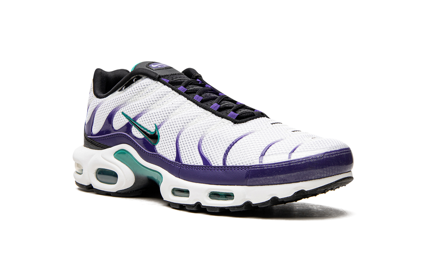 Nike Air Max Plus "Grape" DM0032 100