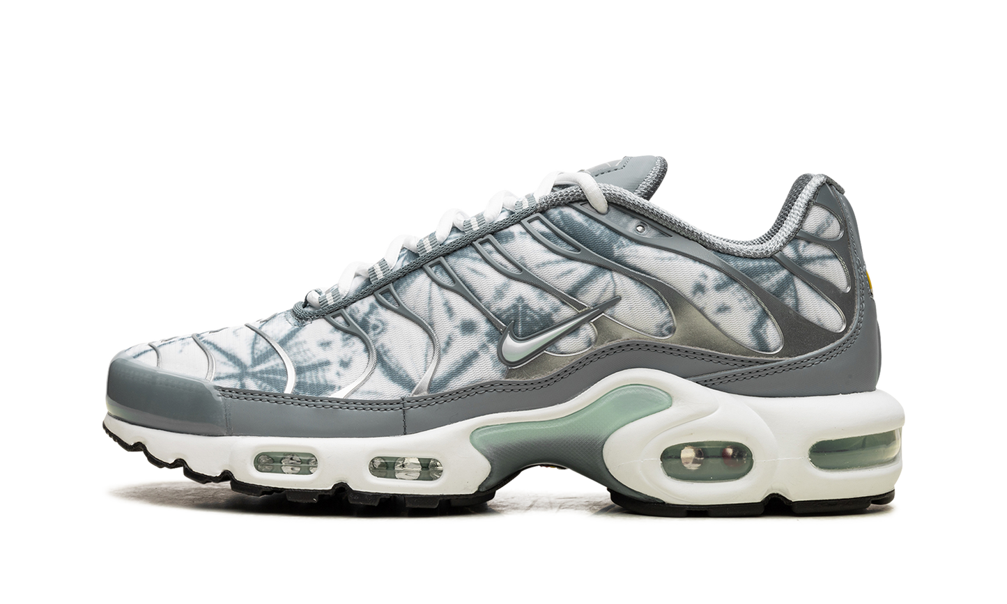 Nike Air Max Plus "Waterway" FV0394 300