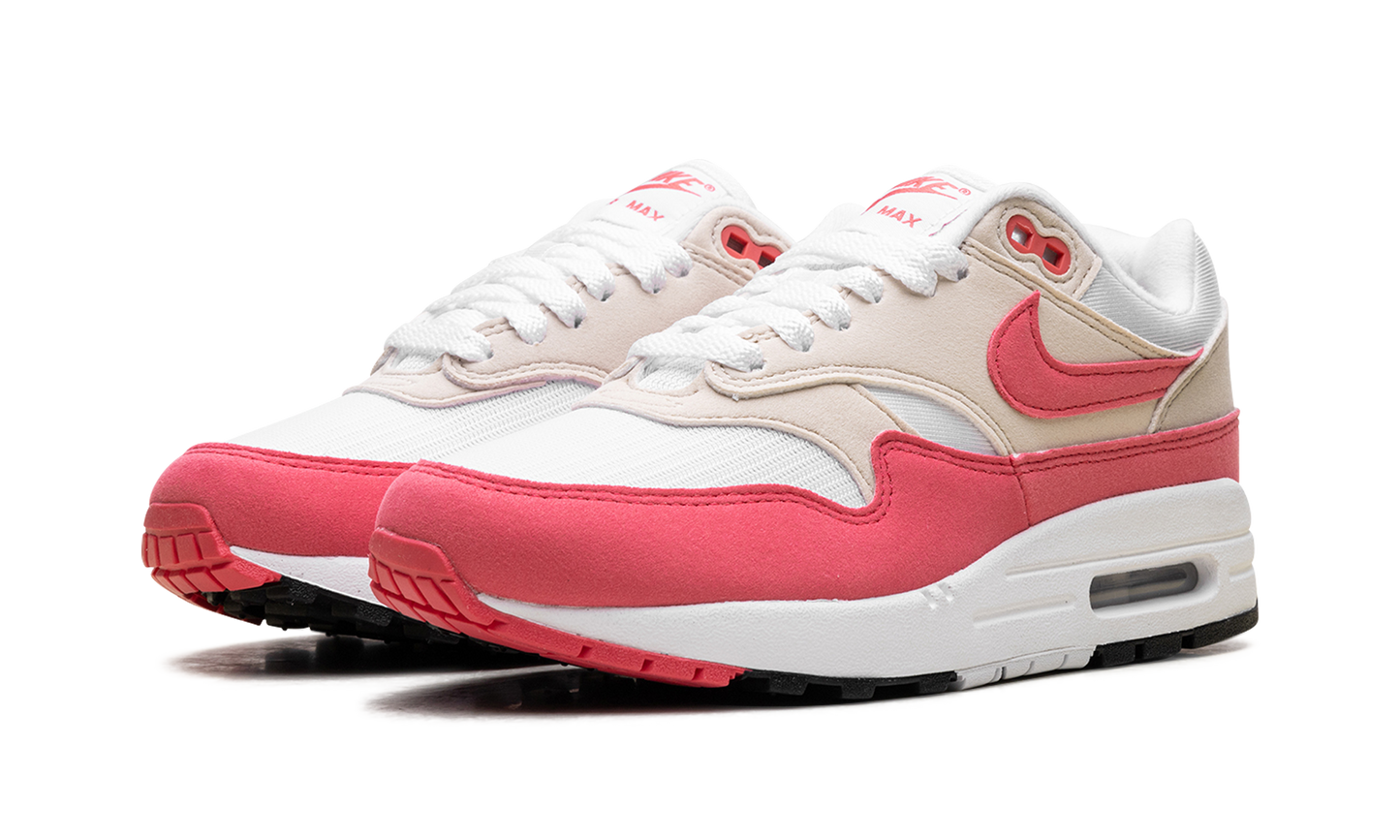 Nike Air Max 1 WMNS "Aster Pink" DZ2628 110