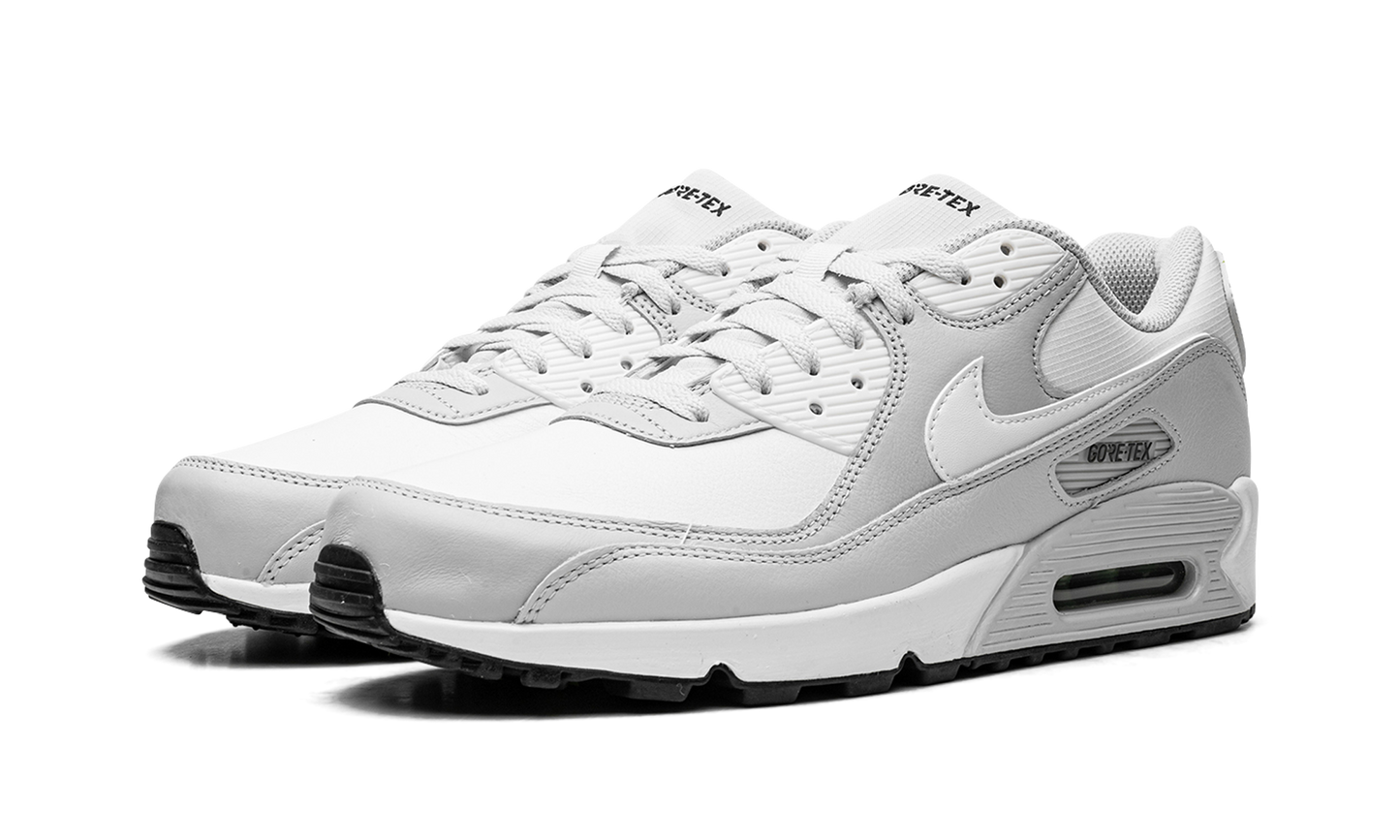 Nike Air Max 90 "Gore-Tex" DJ9779 003