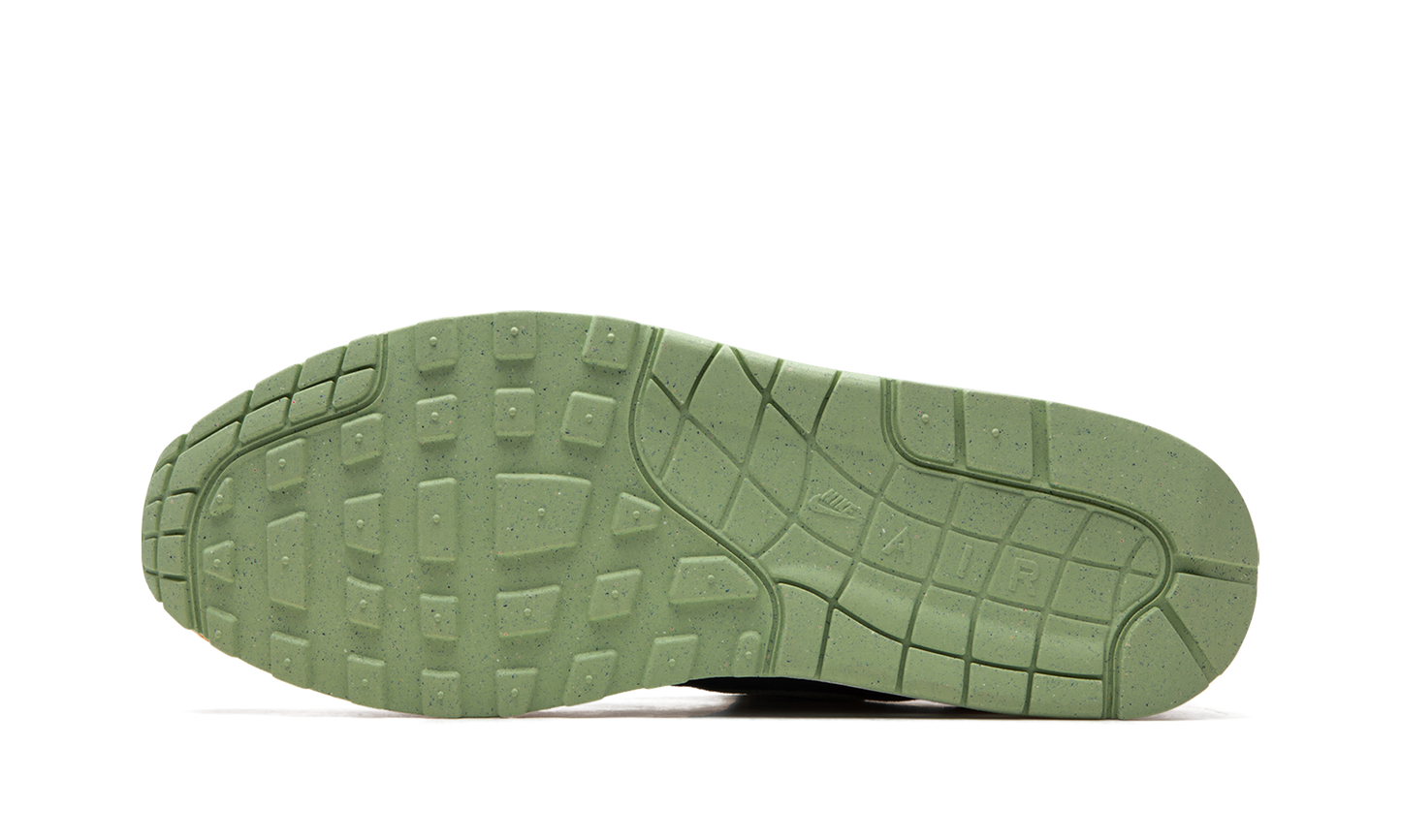 Nike Air Max 1 "Ugly Duckling - Honeydew" DZ0482 001