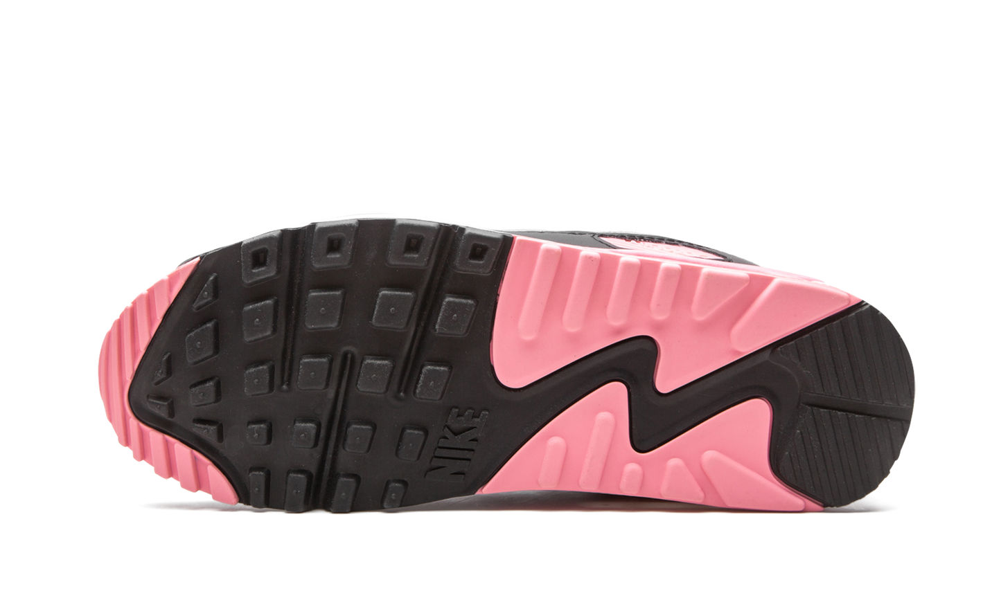 Nike Air Max 90 W "Rose" CD0490 102