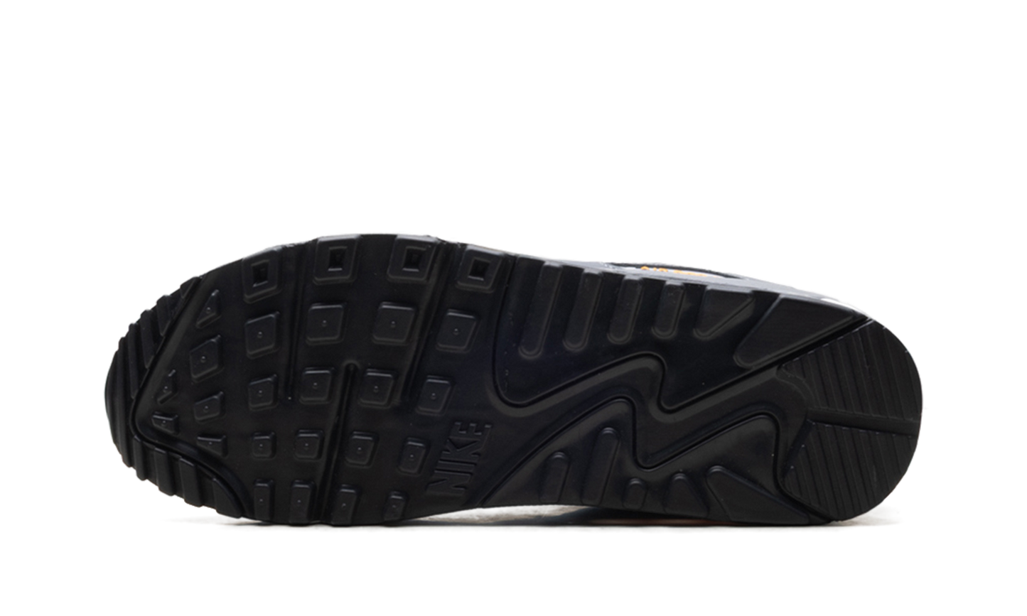 Nike Air Max 90 "Cool Grey Sundial" HV6224 002