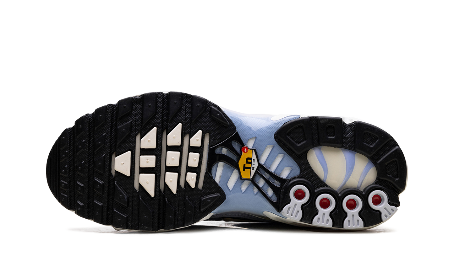 Nike Air Max Plus WMNS "Daybreak" DZ3670 004