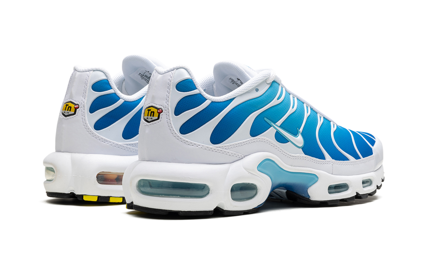Nike Air Max Plus "Blue Gaze" 852630 411