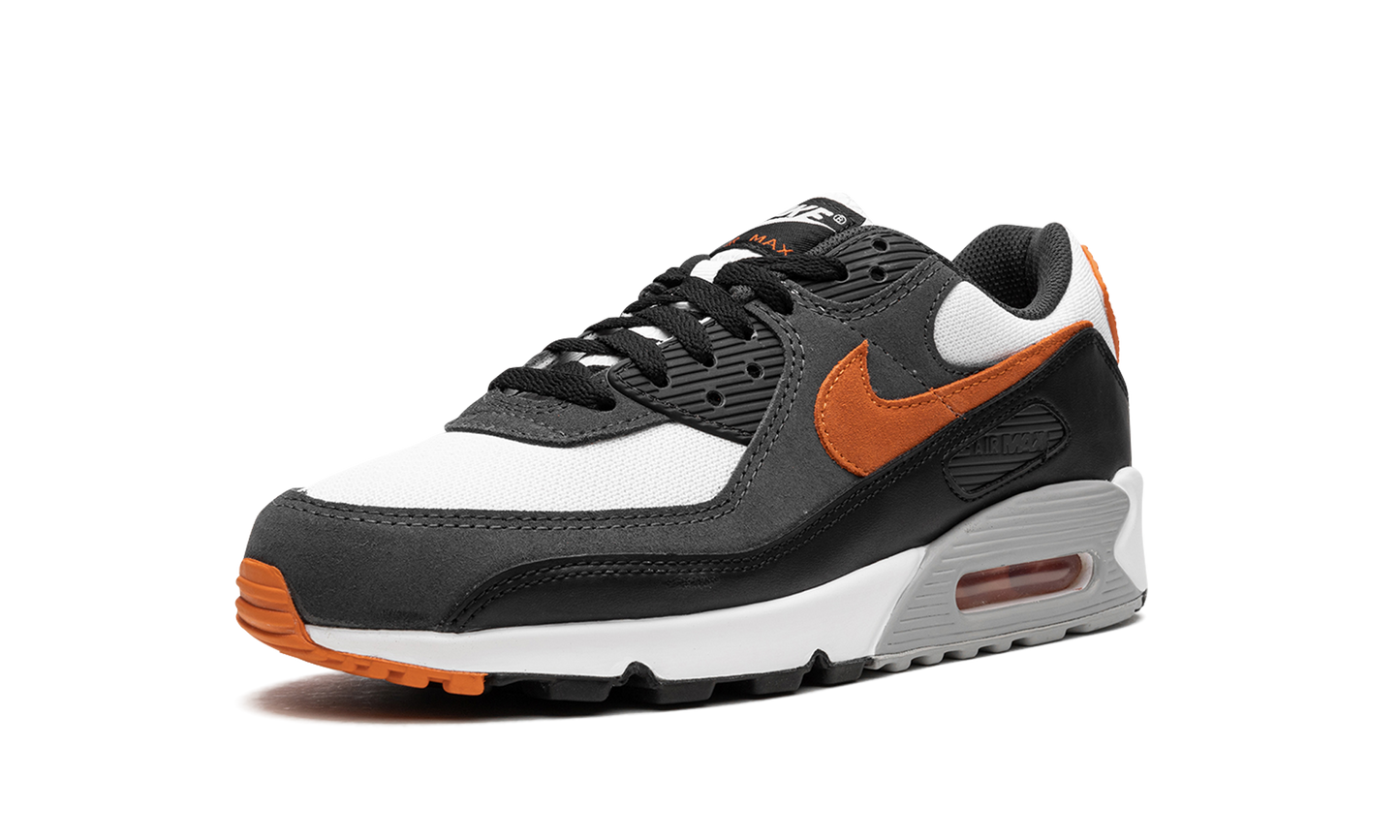 Nike Air Max 90 "Starfish" DM0029 101