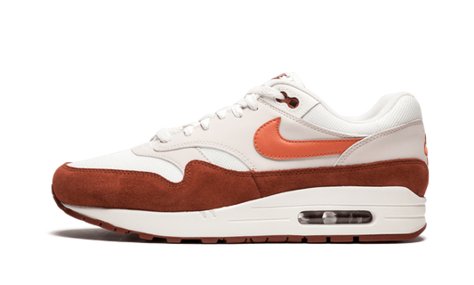 Nike Air Max 1 AH8145 104