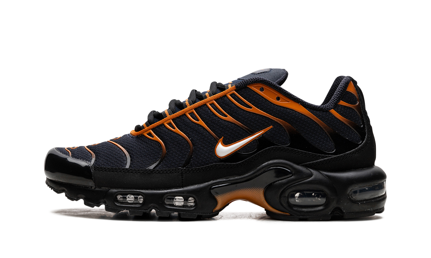 Nike Air Max Plus "OBSIDIAN MONARCH" FN6949 400