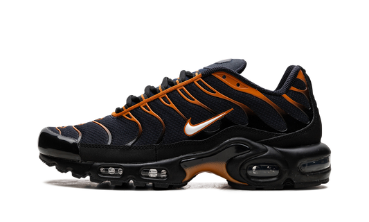 Nike Air Max Plus "OBSIDIAN MONARCH" FN6949 400