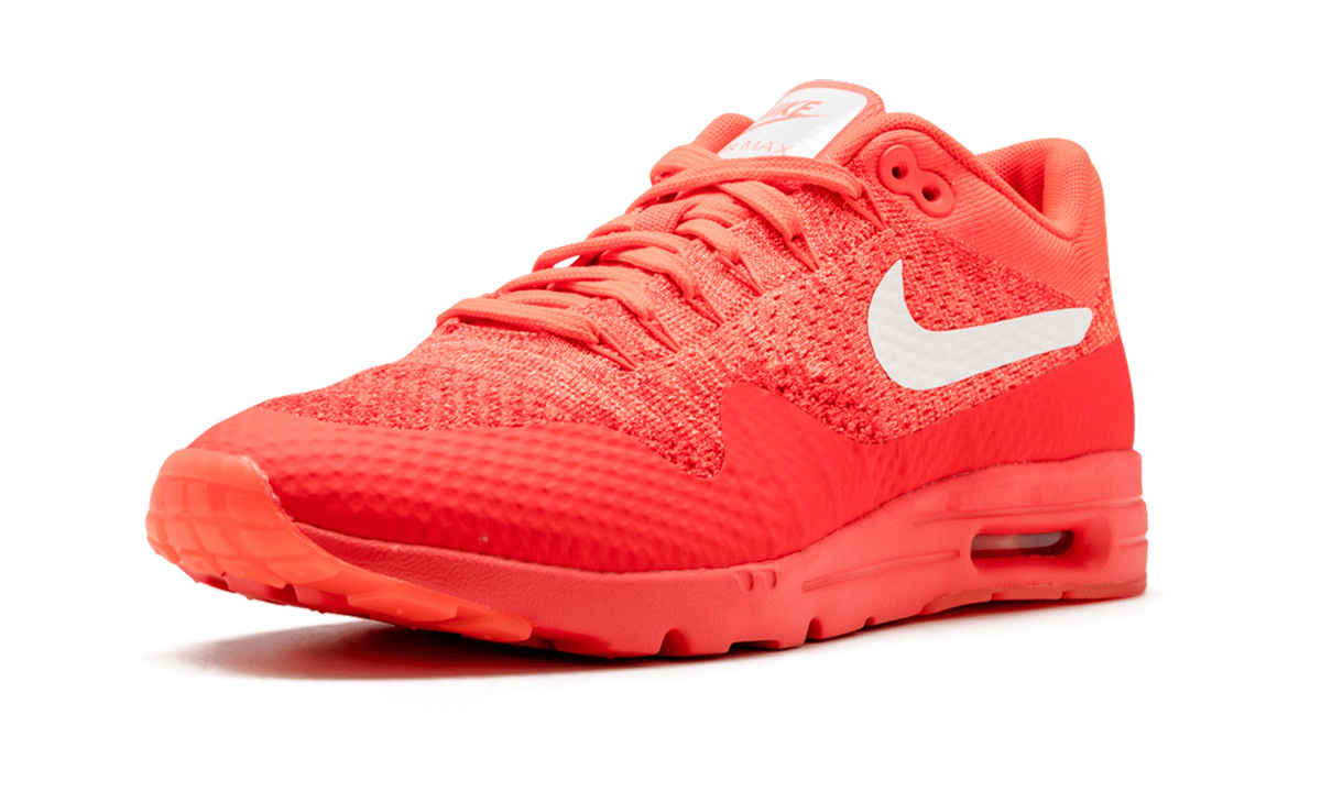 Nike AIR MAX 1 ULTRA FLYKNIT WMNS 843387 601