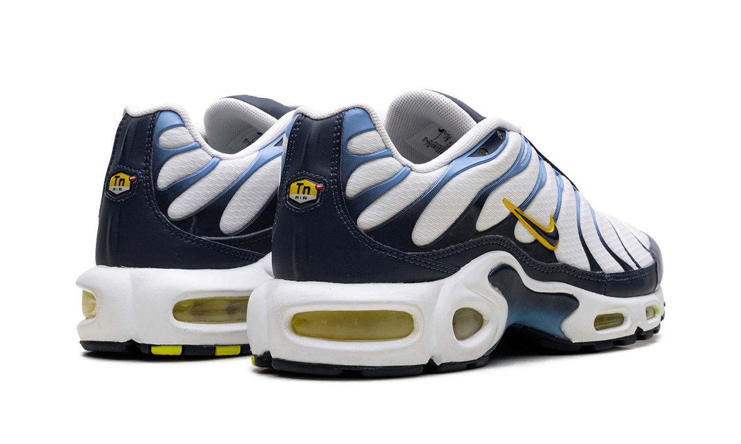 Nike Air Max Plus CT1094 100