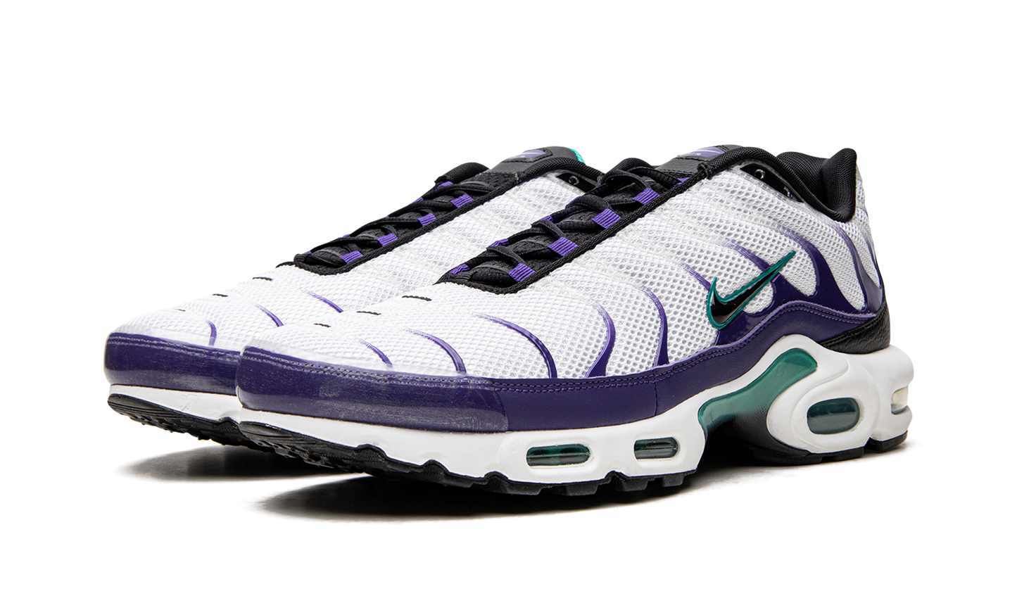 Nike Air Max Plus "Grape" DM0032 100