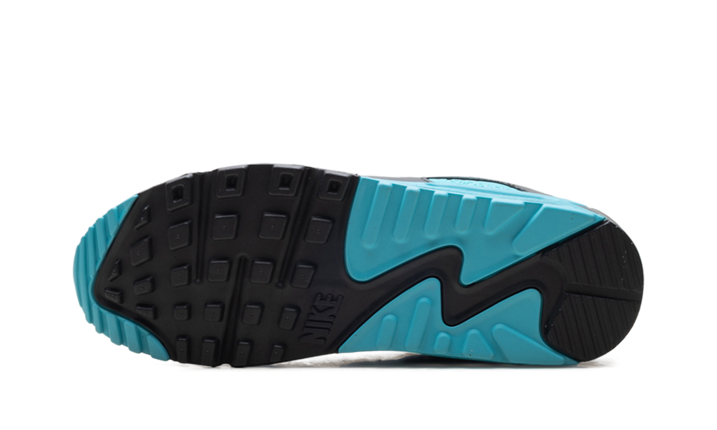 Nike Air Max 90 "Dusty Cactus" DM0029 013