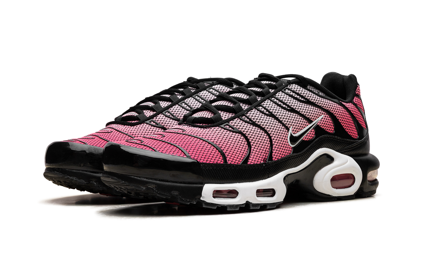 Nike Air Max Plus "All Day" HF3837 600