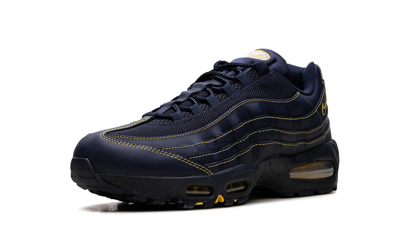 Nike Air Max 95 "Michigan" IB7936 400