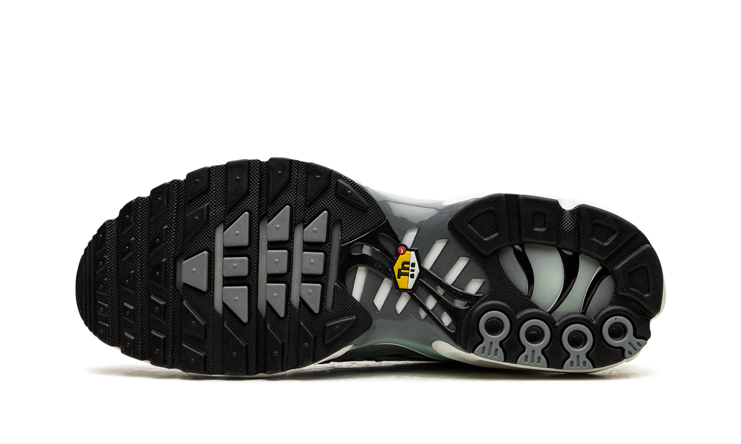 Nike Air Max Plus "Waterway" FV0394 300