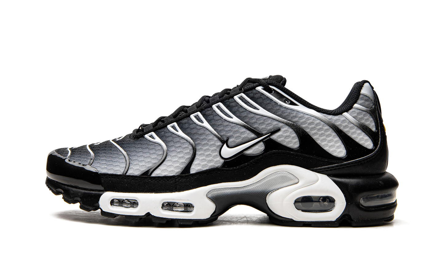 Nike Air Max Plus "Black / Silver" DM0032 003