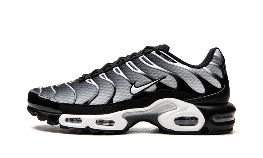 Nike Air Max Plus "Black / Silver" DM0032 003