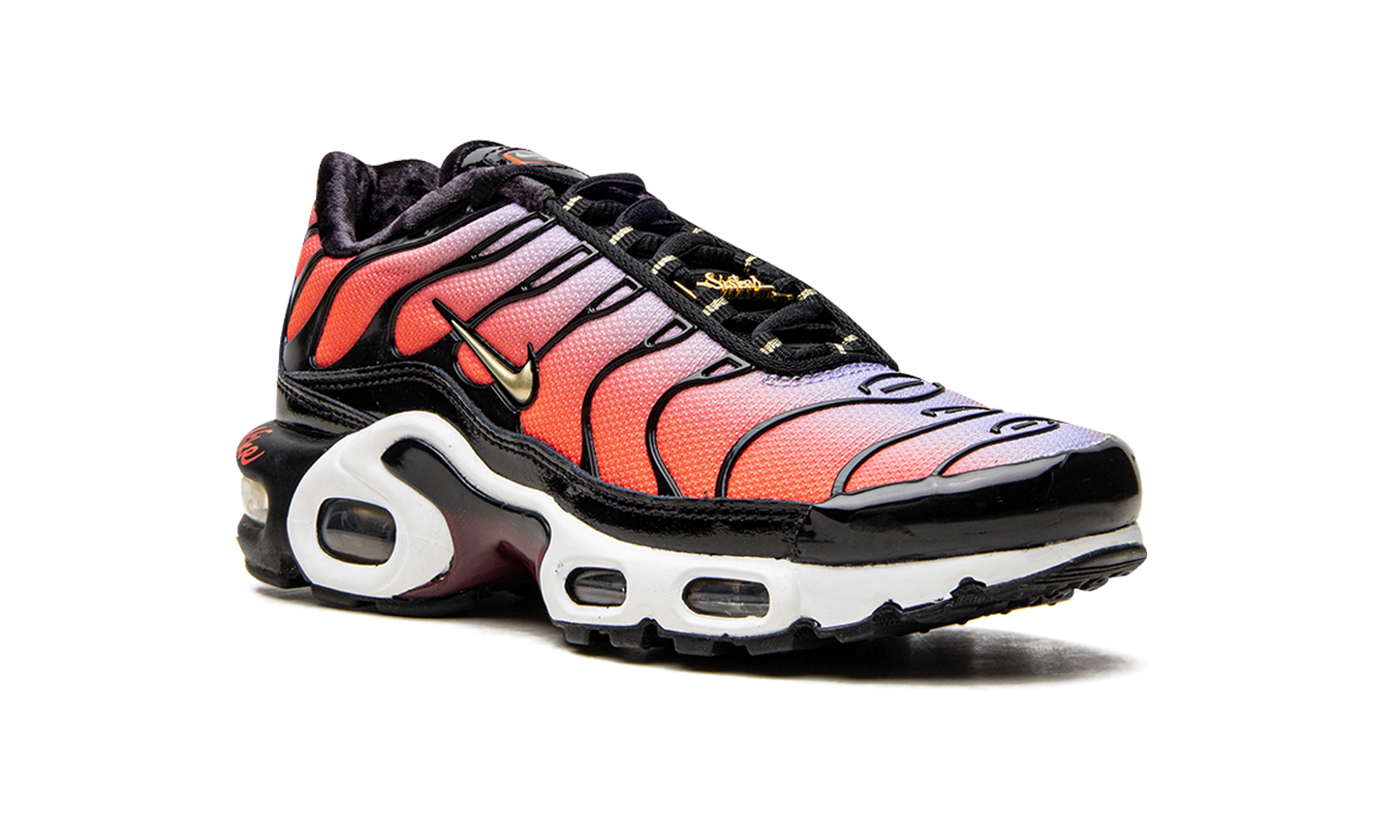 Nike AIR MAX PLUS MNS WMNS "Sisterhood" DO6115 500