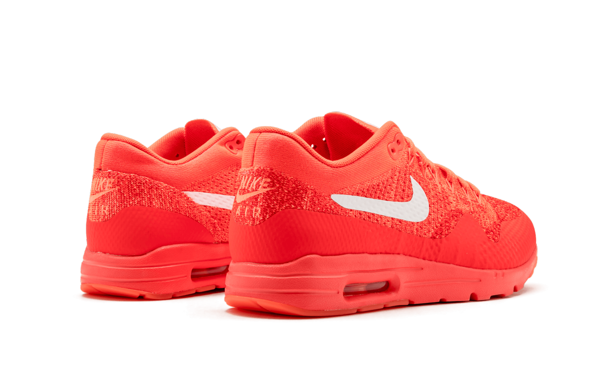 Nike AIR MAX 1 ULTRA FLYKNIT WMNS 843387 601