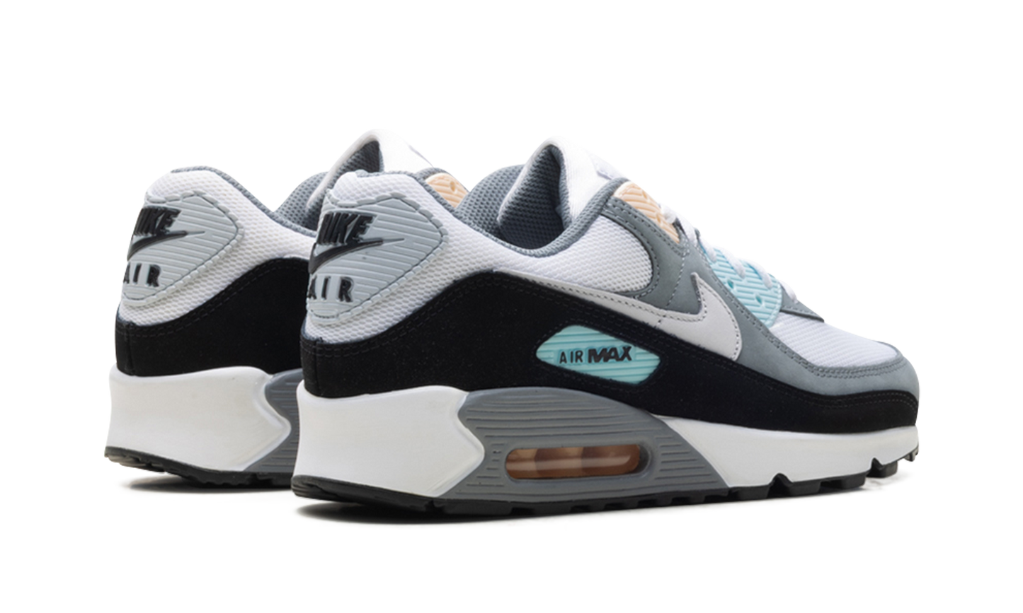 Nike Air Max 90 "Cool Grey Pure Platinum Black" IB7674 001