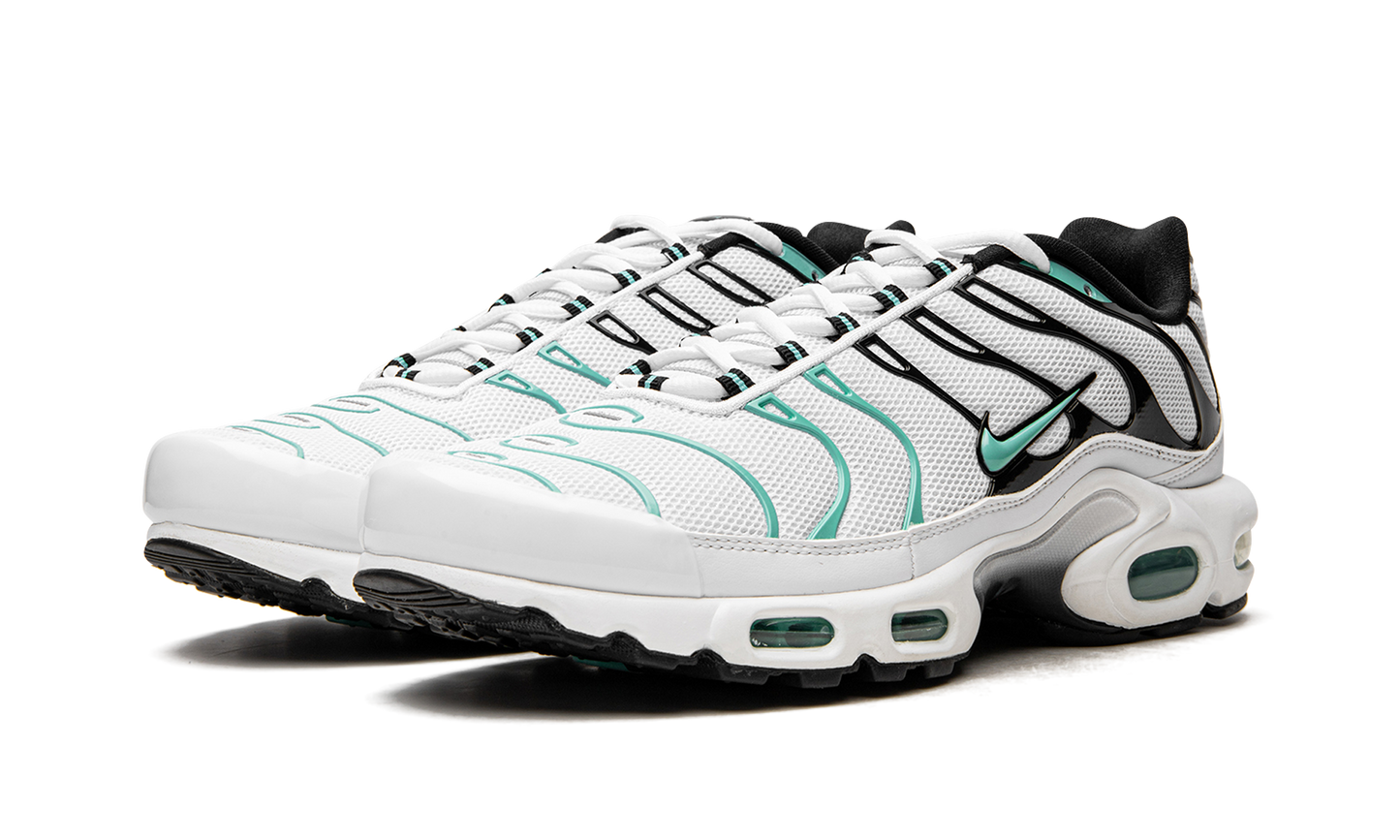 Nike Air Max Plus "Atmos" 604133 148