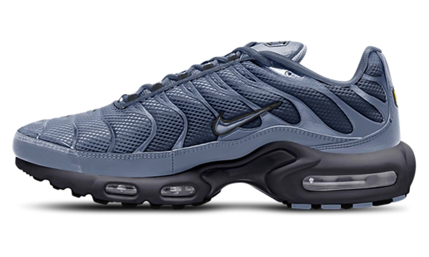 Nike Air Max Plus "World Indigo" DM0032 404